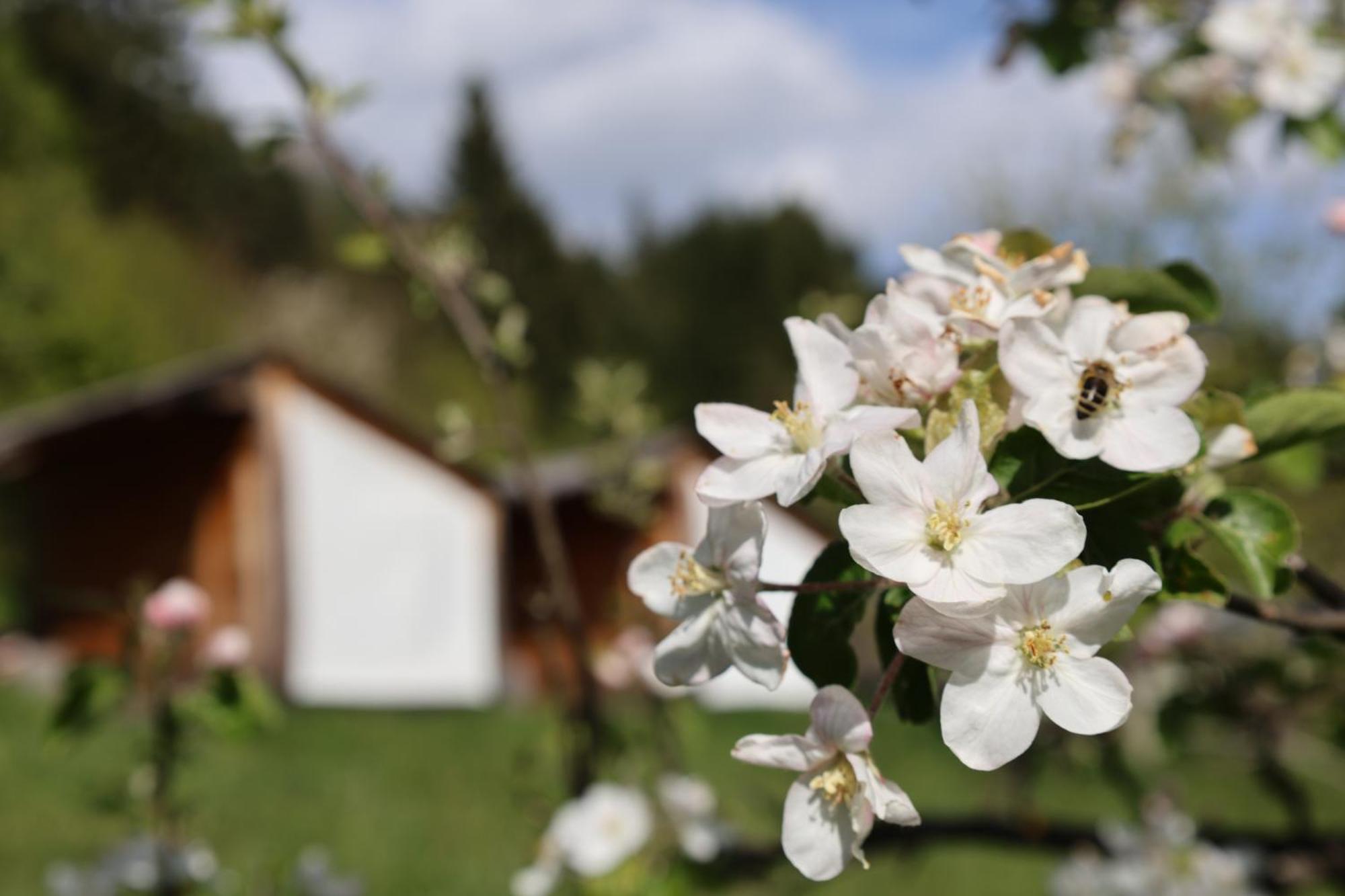 Mountain View Glamping Vila Dovje Exterior foto