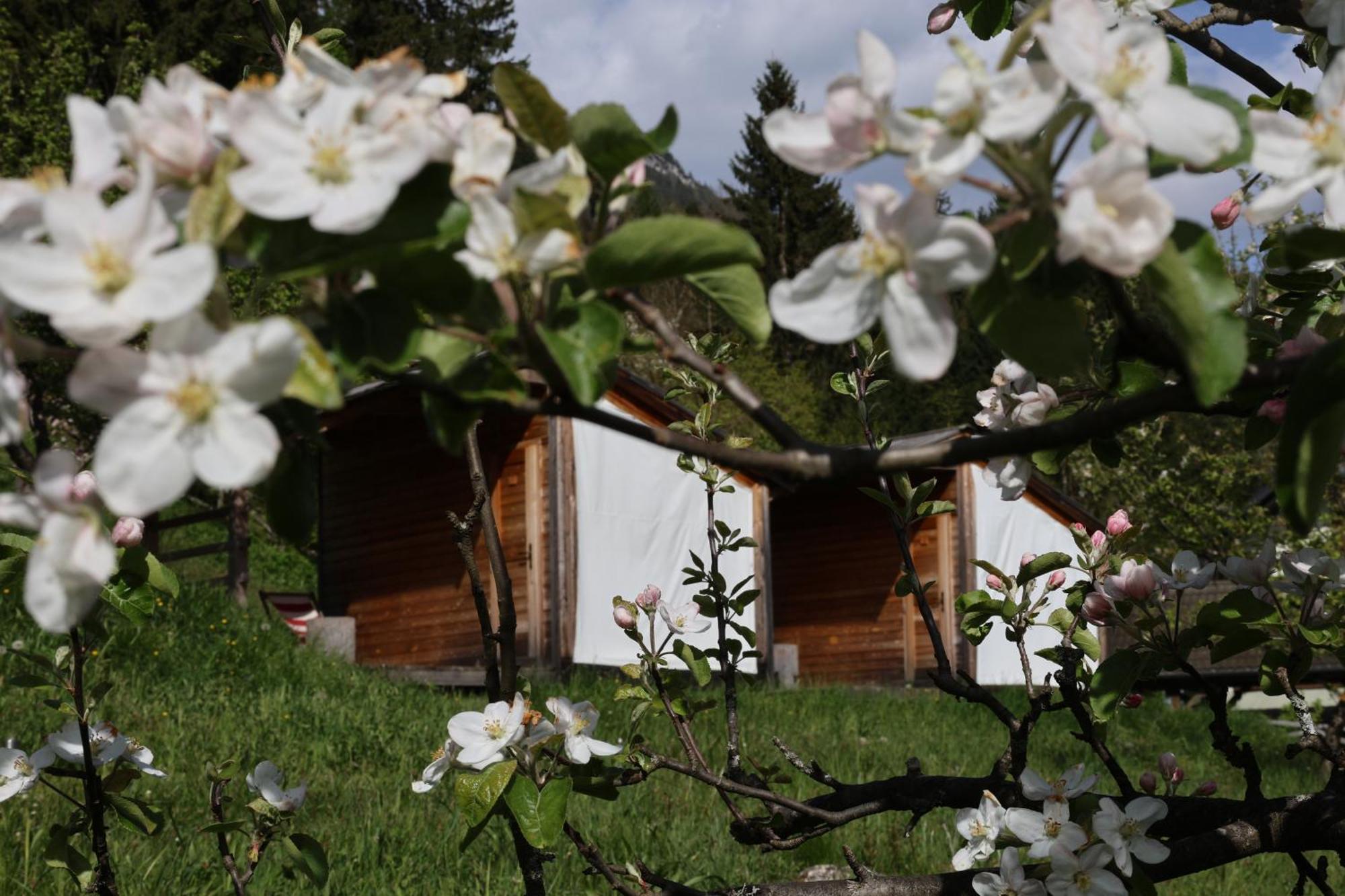 Mountain View Glamping Vila Dovje Exterior foto