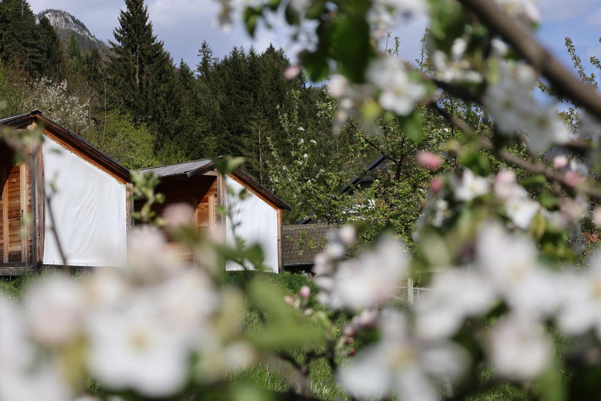 Mountain View Glamping Vila Dovje Exterior foto