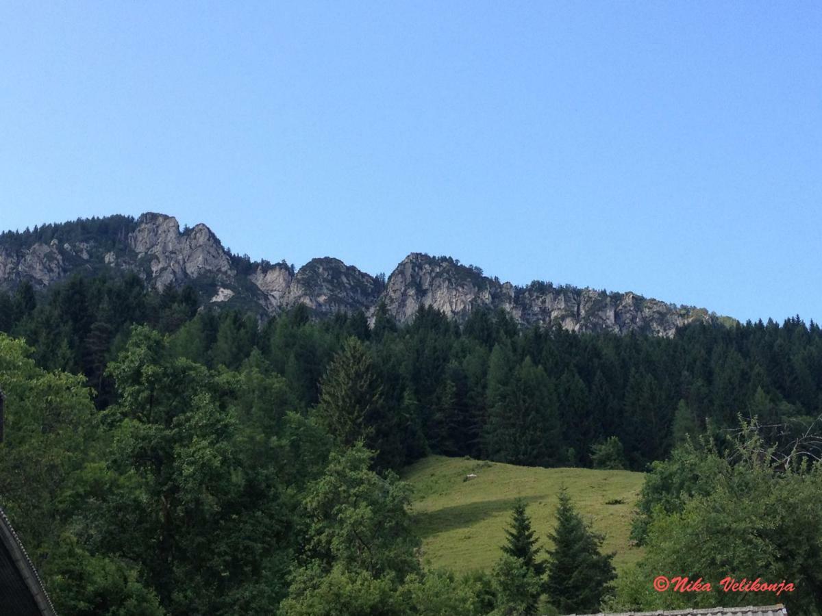 Mountain View Glamping Vila Dovje Exterior foto