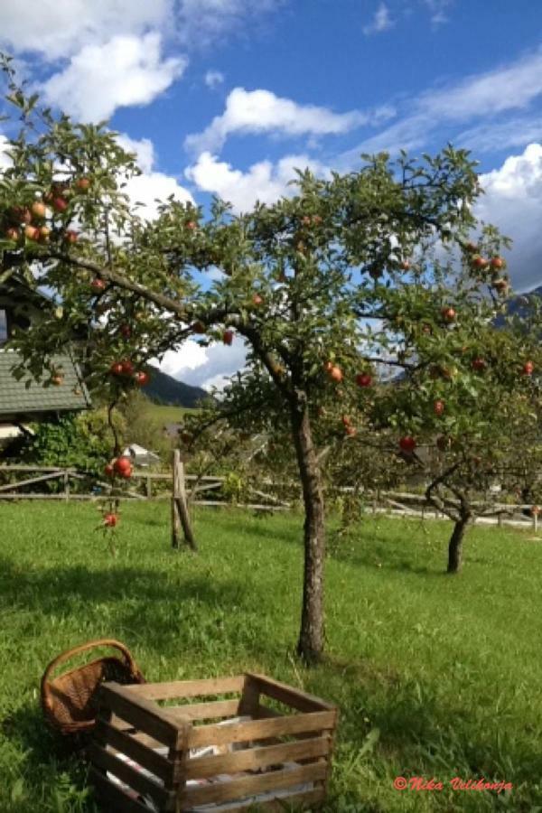 Mountain View Glamping Vila Dovje Exterior foto